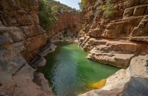 Paradise Valley Half-Day Guided Tour with Hotel Pickup