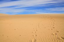 Day Trip to Sahara Sand Dunes and Paradise Valley from Agadir