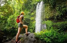 Sendang Gile and Tiu Kelep Waterfall Private Tour