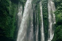 Sendang Gile and Tiu Kelep Waterfall Private Tour