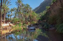 Paradise Valley Half-Day Guided Tour with Hotel Pickup