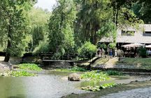 Bran and Peles Castles private full-day tour in Transylvania