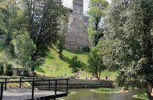 Libearty Bear Sanctuary and Bran Castle private full-day tour