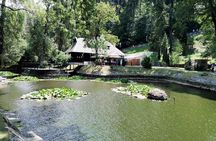Libearty Bear Sanctuary and Bran Castle private full-day tour