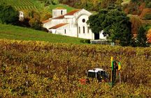 Cognac vineyards and distilleries half-day private tour from Charente