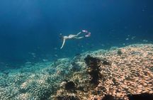 Southern Gili Islands hopping tour with snorkelling from Lombok