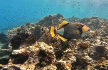 Southern Gili Islands hopping tour with snorkelling from Lombok