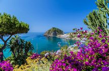 Half-Day Ischia and La Mortella Gardens Guided Tour