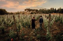 Sunset Tour and Tasting with Food Pairings in Sicily