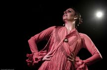 Flamenco Show at Tablao Flamenco Café Ziryab in Madrid