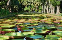 Port Louis half-day tour