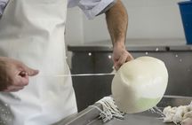 Cheese Experience in Menorca with Workshop and Tasting