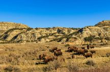 Theodore Roosevelt National Park Self-Guided Driving Tour