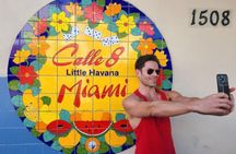 Miami High Speed Train Tour with Cruise from Fort Lauderdale
