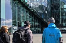 Reykjavik walking tour with a Viking