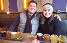 Reykjavik beer tour and pub crawl