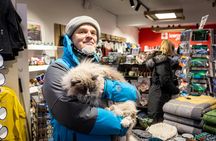 Cat walking tour in Reykjavik