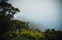 Waimea Canyon and Koke'e Adventure Tour