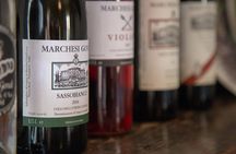 The Essence of Chianti Rufina Tour with Tasting in Renaissance Villa