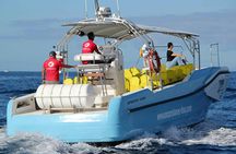 La Gomera Whale Watching Cruise