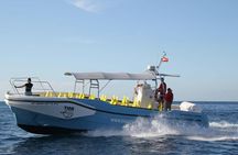La Gomera South Coast Cruise