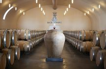 Full-day Saint Emilion wine-tour from Bordeaux