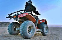 Quad Bike Morning Safari with Bedouin Tea Tasting in Marsa Alam