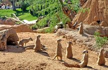 Entrance ticket to Bioparc Valencia