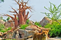 Entrance ticket to Bioparc Valencia