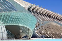 City of Arts and Sciences entrance tickets