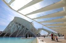 City of Arts and Sciences entrance tickets