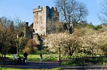 Blarney, Rock of Cashel and Cahir Castles Tour from Dublin