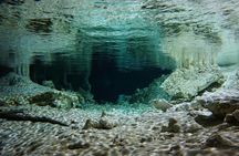 Cenotes Express Half-Day Private Tour