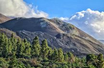 Tajogaite Volcano Hiking Ticket