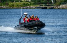 2-hour archipelago tour on a RIB speedboat