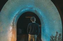 Self-Guided Taylor's Port Cellars Tour and Tasting in Porto