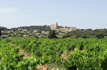 Morning Wine Tour to Chateauneuf du Pape from Avignon