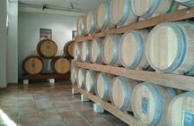 Afternoon Wine Tour of Chateauneuf du Pape from Avignon