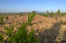Afternoon Wine Tour of Chateauneuf du Pape from Avignon