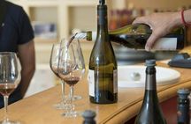 Full-Day Avignon and Luberon Guided Tour