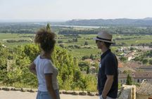 Full-Day Avignon and Luberon Guided Tour