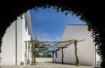 Serralves All-Access Pass