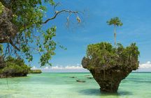 Private Tour to Uzi Island from The Mora Zanzibar