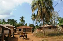 Private Tour to Uzi Island from The Mora Zanzibar