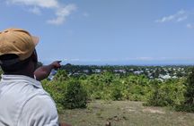 Private Tour to Hike in the Masingini Forest from The Mora Zanzibar