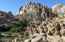 Joshua Tree's Hidden Valley self-guided walking audio tour