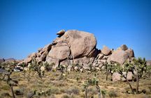 Joshua Tree's Hidden Valley self-guided walking audio tour