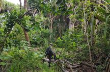 Private Tour to Hike in the Jozani Forest from The Mora Zanzibar