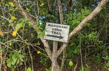 Private Tour to Hike in the Jozani Forest from The Mora Zanzibar