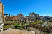 Colosseum, Roman Forum and Palatine Hill Small Group Guided Tour